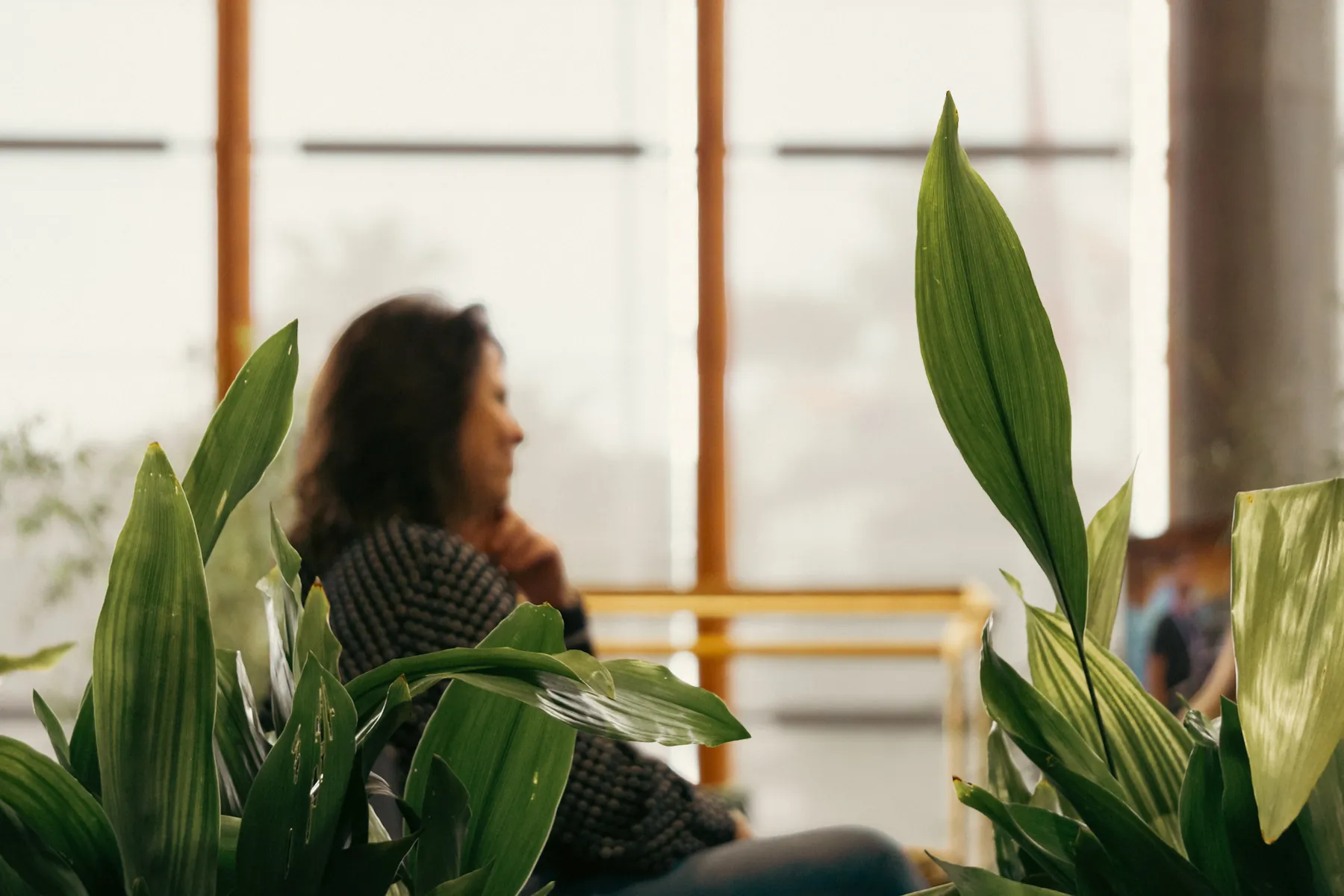 Una charla entre plantas